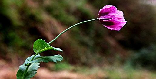 克系推理解谜游戏《耶兰多的低语：克苏鲁选集》Steam页面开放 第四季度发售